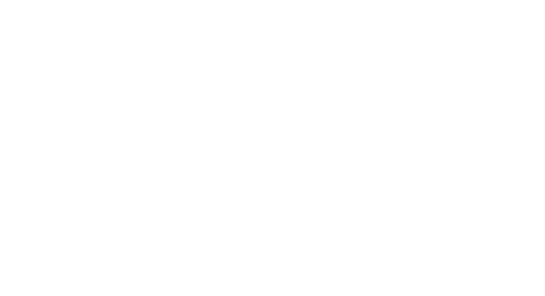 AIR RHIZOME